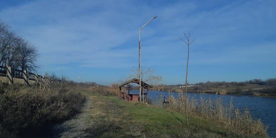 Balta Lupsanu 2, Călăraşi